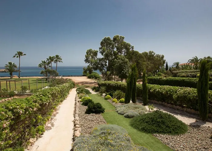 Shaye Front Line Protaras